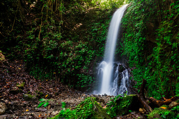 Fototapeta na wymiar Hidden waterfall in a lush green tropical rainforest in the village of Maninjau, Sumatra, Indonesia. Natural landscape.