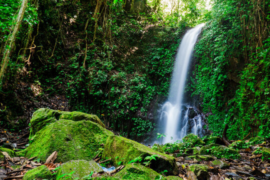 Hidden waterfall in a lush green tropical rainforest in the village of Maninjau, Sumatra, Indonesia. Natural landscape.