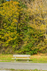 Bench And Autum Colors 2