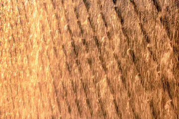 Abstract close up of water feature wall in Eilat, Israel.