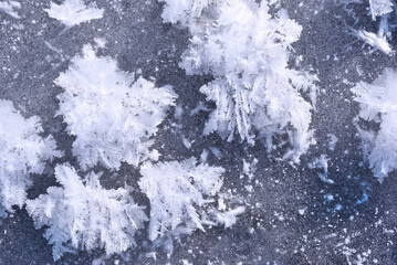 Ice surface with large fluffy snowflakes, natural organic background, top view