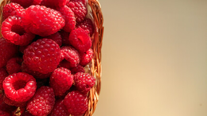 Ripe raspberry berries are folded into a wicker basket