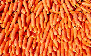 bunch of carrots on the market