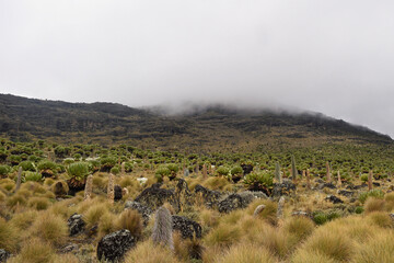 Scenic mountain landscapes against sky at Mount Kenya