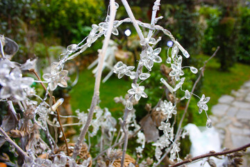 white icicles and transparent stalactites as a Christmas decoration in a vase in the green garden