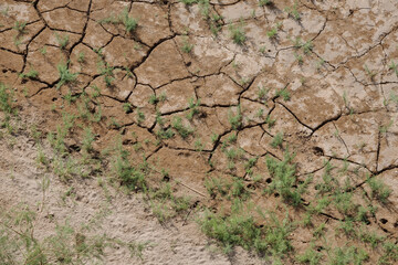 top view of a dried-up riverbed in southern Ethiopia where the ground is cracked and grass is trying to grow