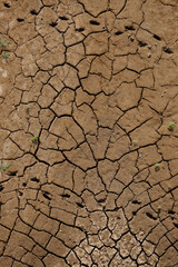 top view of a dried-up riverbed in southern Ethiopia where the ground is cracked and grass is trying to grow