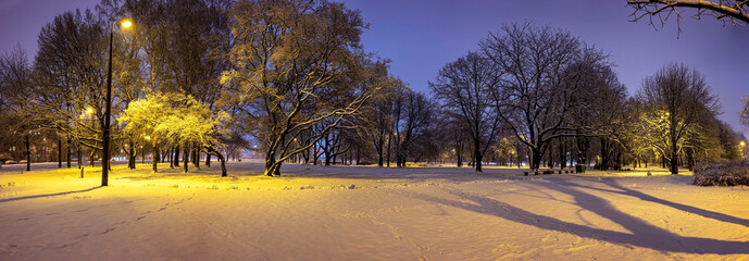Panoramic view of evening winter landscape. View of covered in snow trees in park and street lights.