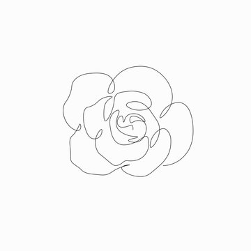 Rose vector, summer flowers isolated on white background. Continuous line drawing. Vector illustration