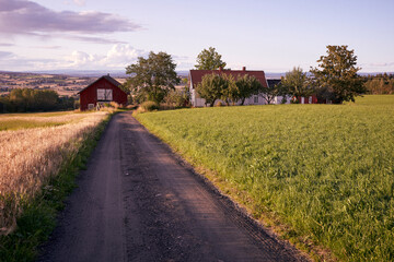 gravelroad in the countryside