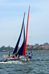 Naklejka premium Regatta on the Douro River in Vila Nova de Gaia, Portugal