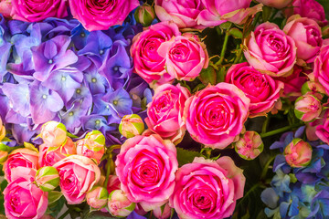 bouquet fresh pink roses and blue hortensia flowers