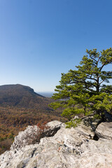 Fototapeta na wymiar Vertical image of the rocky summit at Hanging Rock State Park in North Carolina in autumn
