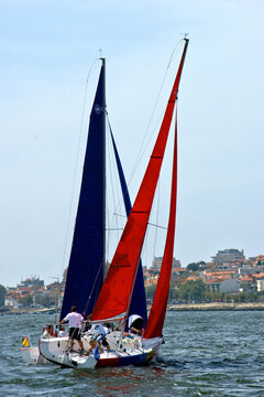 Regatta on the Douro River in Vila Nova de Gaia, Portugal