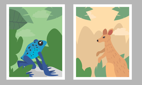 frog and kangaroo in landscape frames vector design