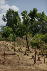 the territory of the park that is snow-covered with barbed wire, and there is not a single inscription
