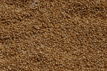 Ethiopian traditional grains dry in the sun so that they can be prepared for consumption