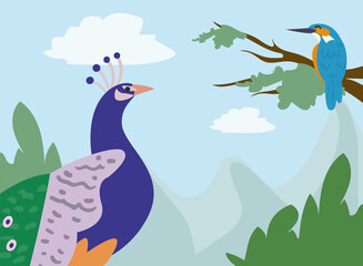 peacock and bird at jungle landscape vector design