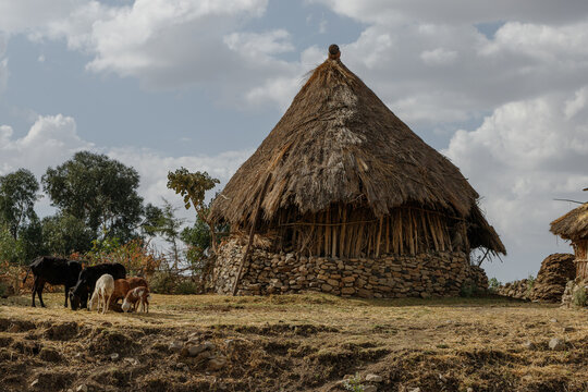 a homestead in a mountain village in the southern part of Ethiopia
