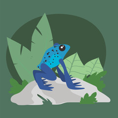 blue frog with leaves at jungle vector design