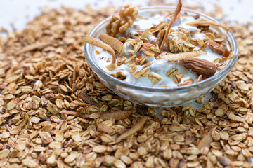 seeds in a wooden bowl