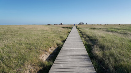 Fototapeta premium St. Peter-Ording Panorama, Holzsteg durch Salzwiesen