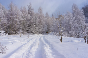 A lone tourist walks along a track in deep snow. Heavy snowfall has recently ended, white snow is shining in the sunlight