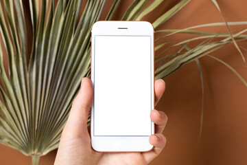 Mockup image of hand holding mobile phone with blank white screen.Against the background of brown wall and dry tropical plant