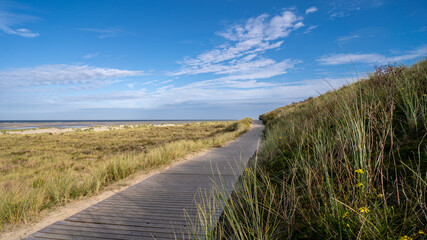 Fototapeta premium Borkum Panorama, Weg durch die Dünen