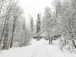 Mount Mamdzyshha, Abkhazia.