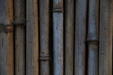 a close-up of a bamboo tree fence you can see the diversity of each tree