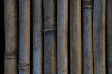 a close-up of a bamboo tree fence you can see the diversity of each tree