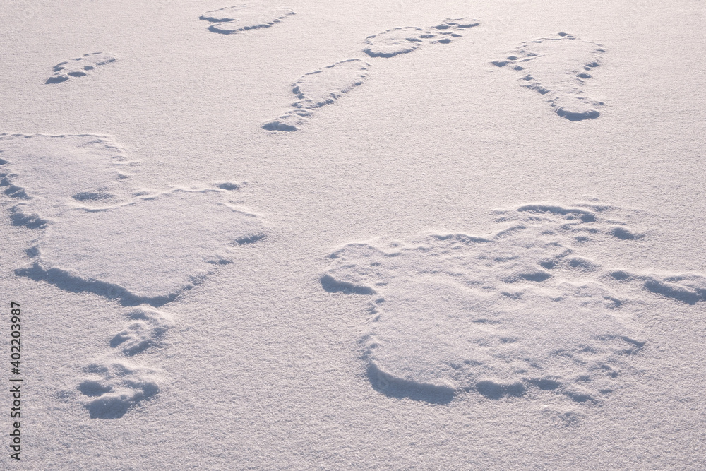 Poster white fine ice and snow surface texture background texture, winter background