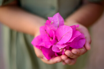 Flower petals in the palms.