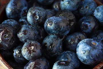 Fresh blueberry on white background