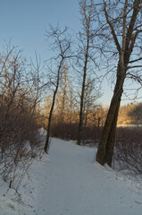 A Snowy Trail of Gold Bar Park in Winter