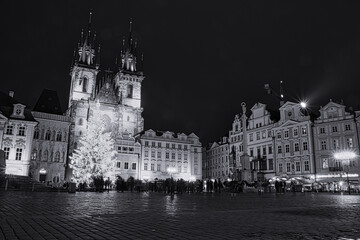 Fototapeta premium 2020