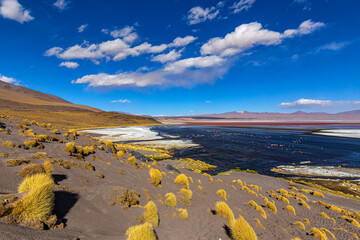 Bolivia, the southwest of the Altiplano. Eduardo Avaroa Andean Fauna National Reserve. Laguna...