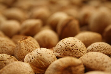Many shelled almonds