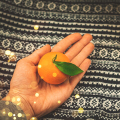 Citrus food at winter composition on backhround of knitted sweater at cozy home, copy space with candle