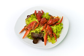 Boiled crayfish with lettuce on a white plate