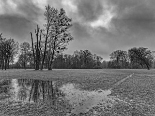 Schlechtes Wetter mit Baum, Bewölkung und Wasser auf dem Weg, englischer Garten, München