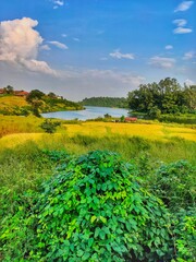 Field and sky of Badlapur in India