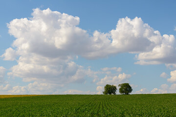 landscape of South Moravia, Czechia