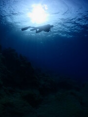 silhouette  scuba diver sun beam shine rays underwater lady woman diver relaxing blue ocean scenery of somebody