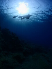 Fototapeta na wymiar silhouette scuba diver sun beam shine rays underwater lady woman diver relaxing blue ocean scenery of somebody