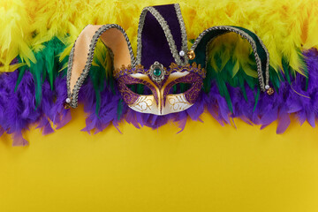Mardi gras carnival concept with face mask and Mardi gras colors feathers.