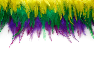 Mardi gras color feathers background. Nature patern