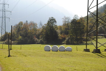 heubälle im Feld