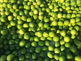 Lemons in a fruit shop, placed on top of a fruit stand.